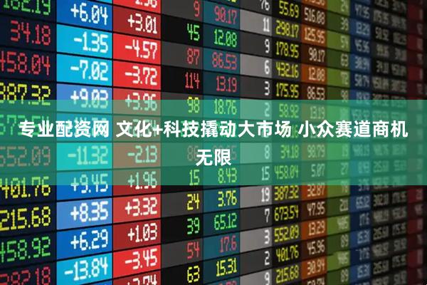 专业配资网 文化+科技撬动大市场 小众赛道商机无限